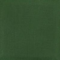 SS-057 Accent Green