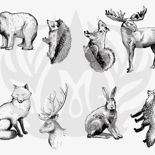 DSS-101 Woodland Animals