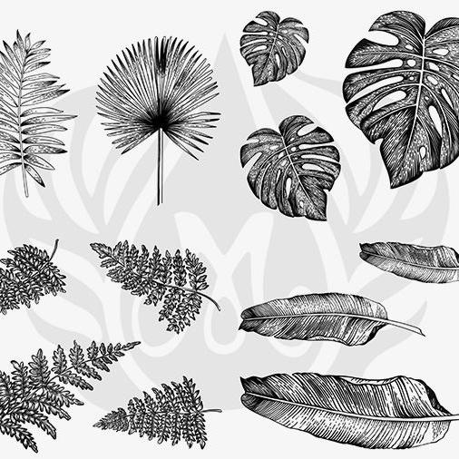 DSS-166 Tropical Leaves